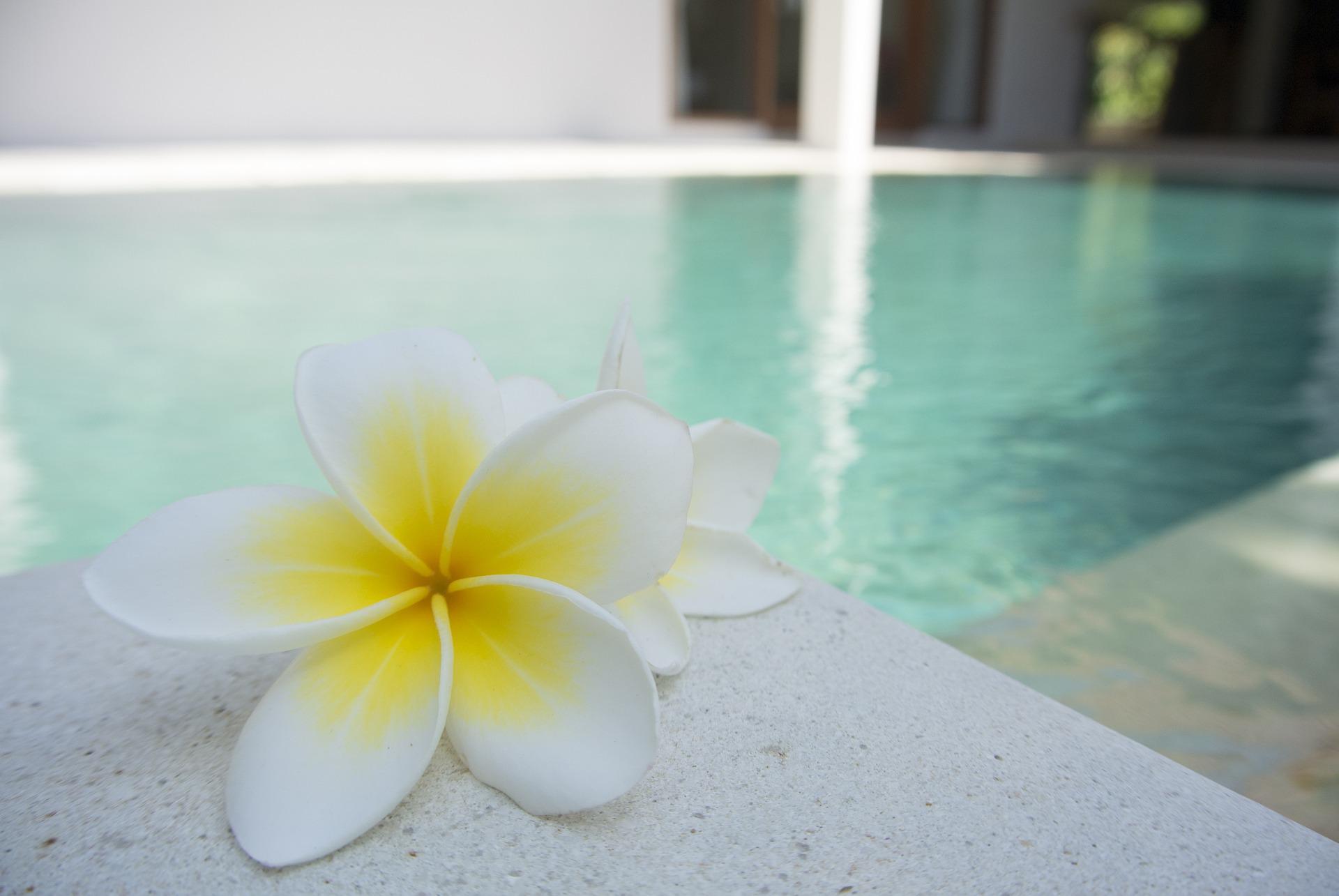 Spa en casa, disfruta del bienestar que te mereces