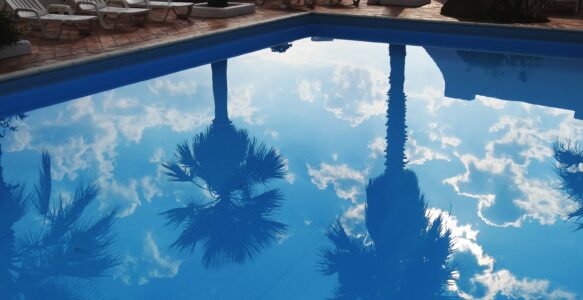 Aprende a prevenir y eliminar las algas de tu piscina