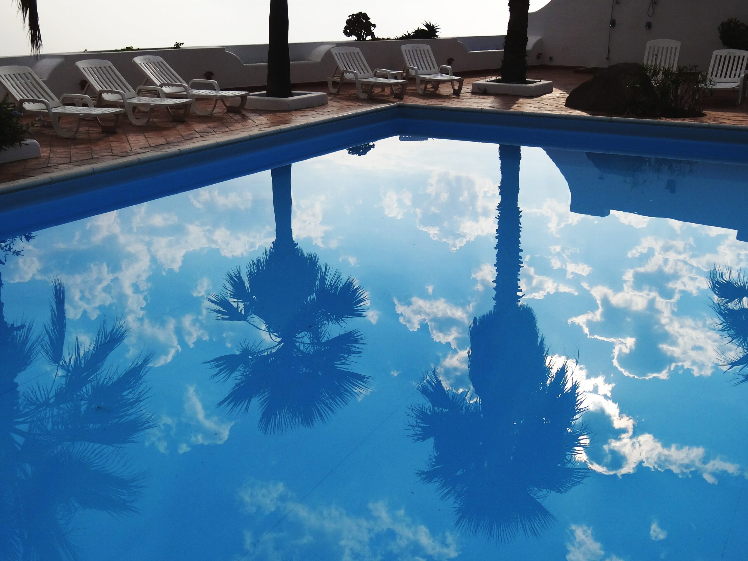 Aprende a prevenir y eliminar las algas de tu piscina