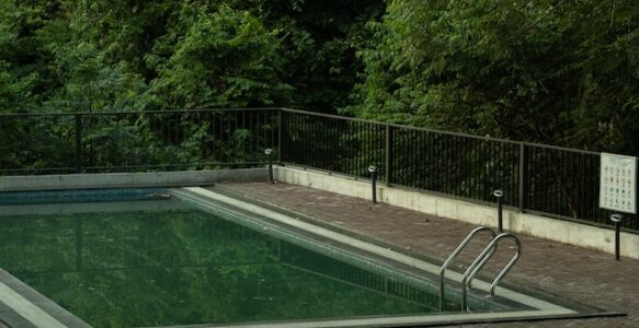 ¿Por qué tengo agua verde en la piscina?
