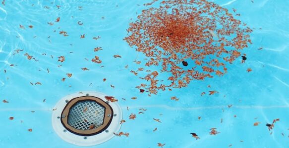 Accesorios clave para proteger y limpiar tu piscina en invierno